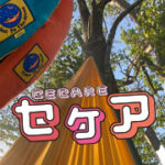 キャンプにハマりそう